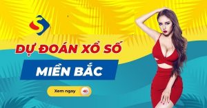 Dự đoán xổ số 15/12