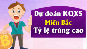 Dự đoán xổ số 17/12