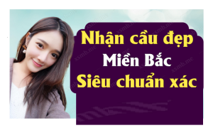 Xổ số miền bắc 15/11/2025